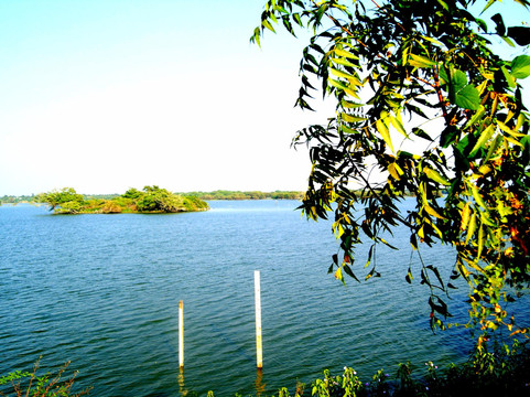 Kalol旅游攻略图片