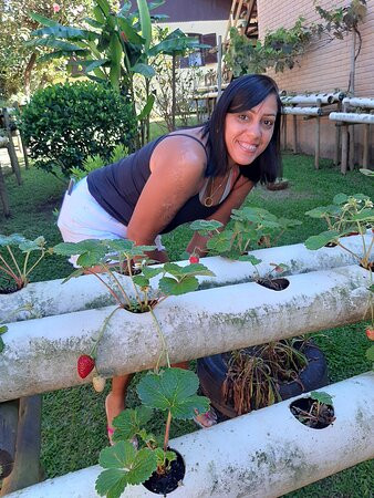 Pousada Canteiros主图