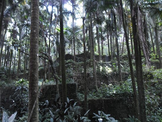 Ecological Park Alfredo Klinkert Junior-Maua必去景点