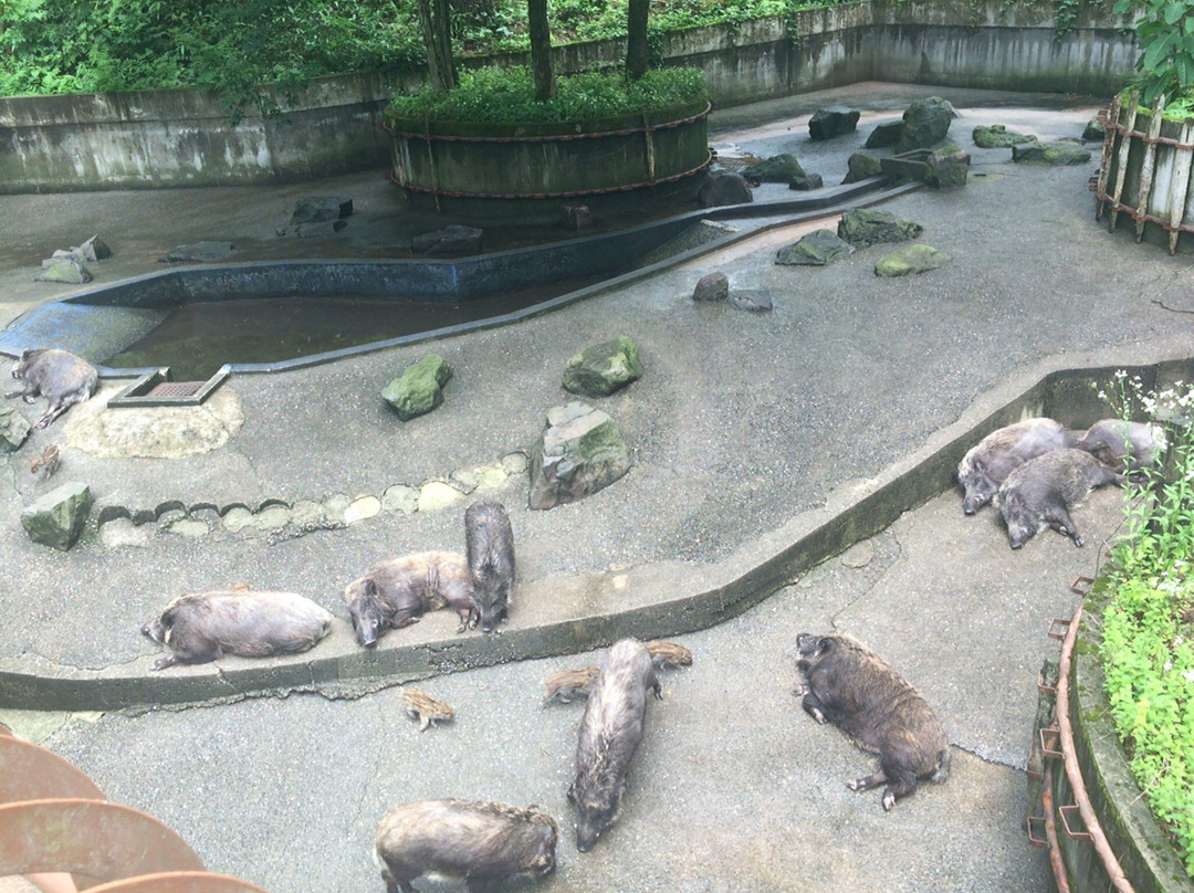 Ishikawa Forest Park景点图片