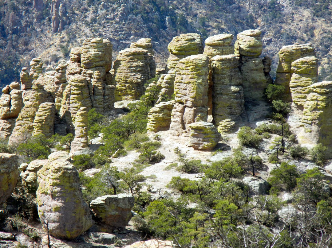 Willcox旅游攻略图片