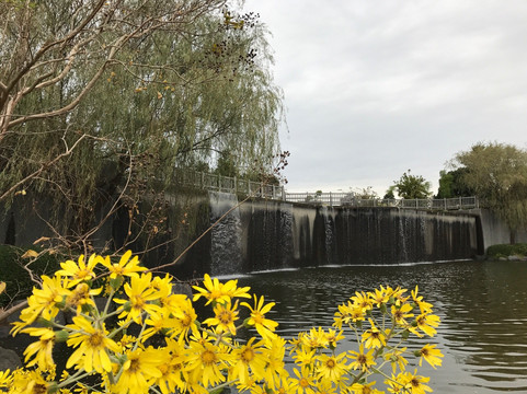 吉田町旅游攻略图片