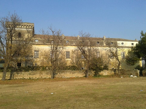 Succivo旅游攻略图片