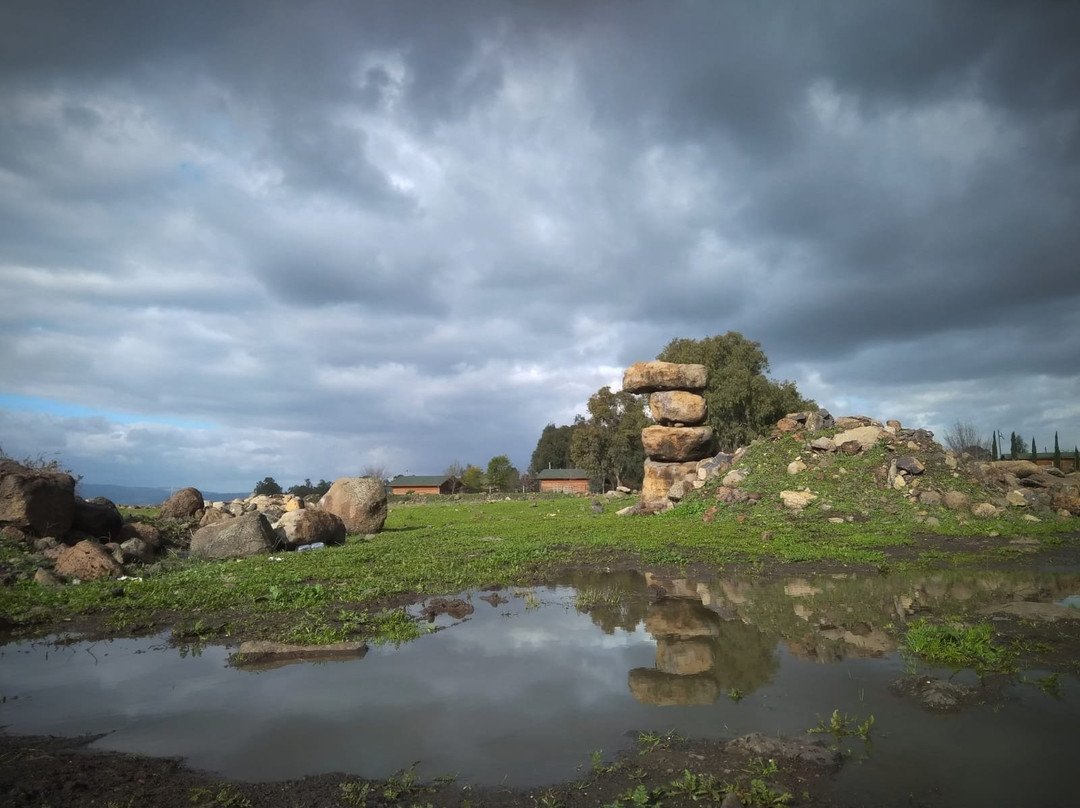 Kidmat Tzvi旅游攻略图片