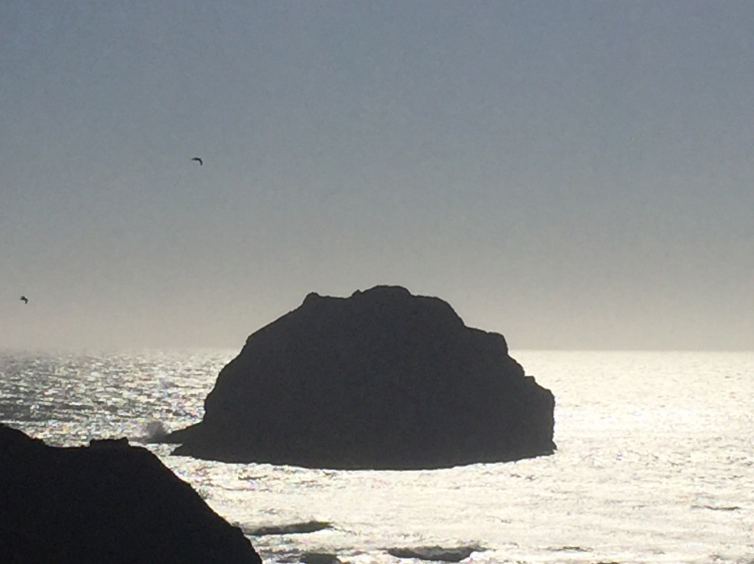 Bandon By The Sea Rv Park