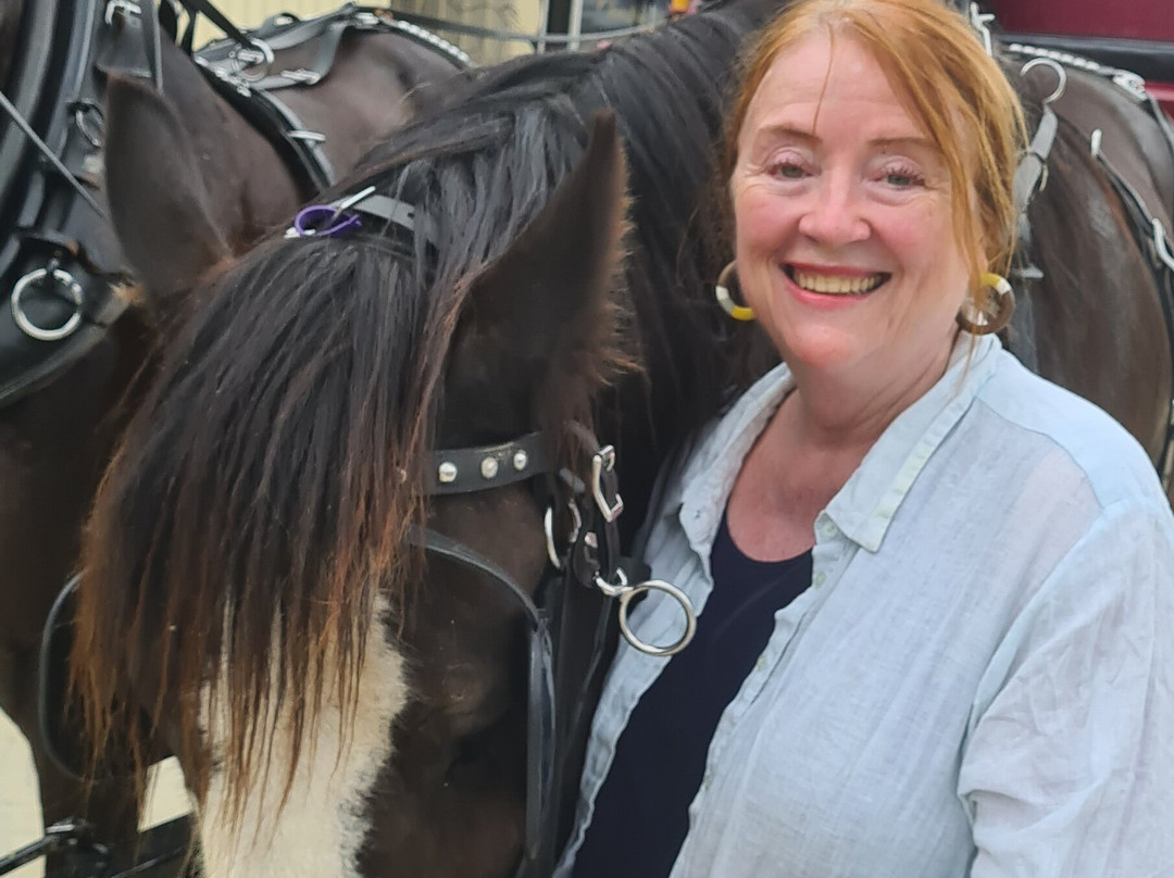 Maroon旅游攻略图片