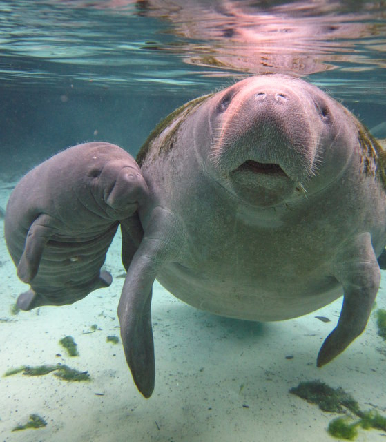 River Ventures-克里斯特尔里弗必去景点