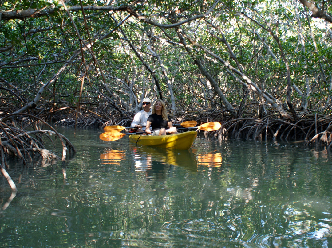 The Kayak Shack-伊斯拉摩拉达必去景点