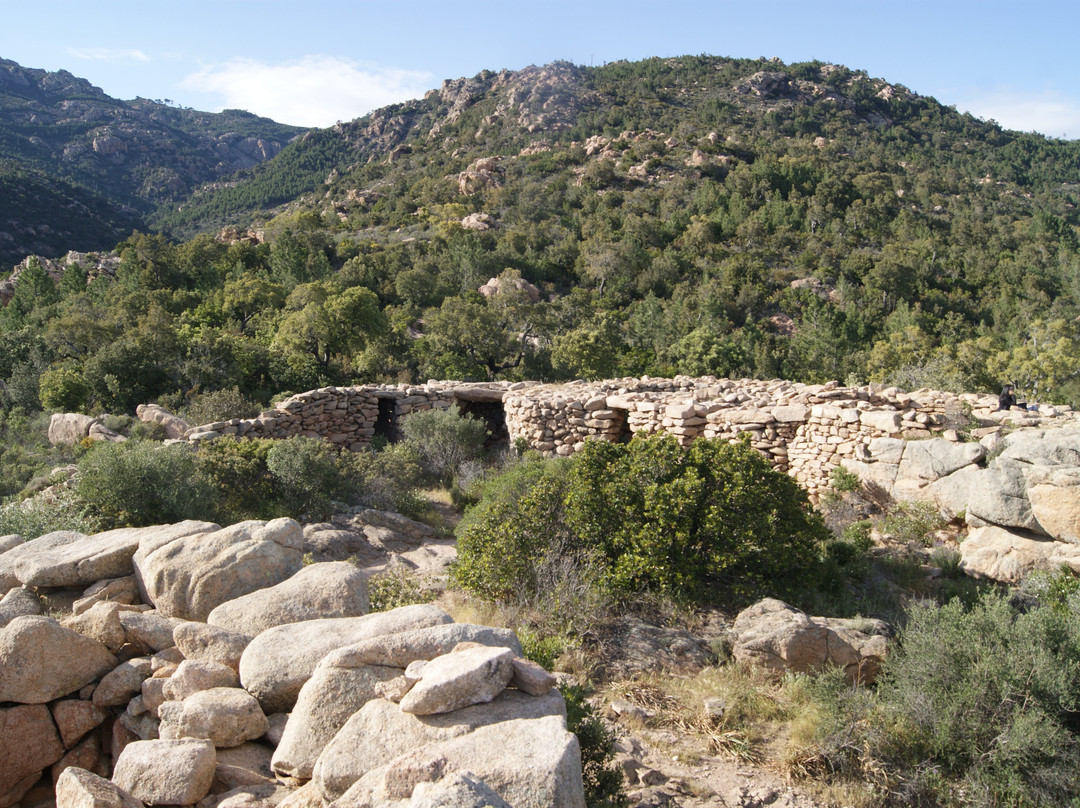 Site prehistorique de Castellu d'Araggio景点图片