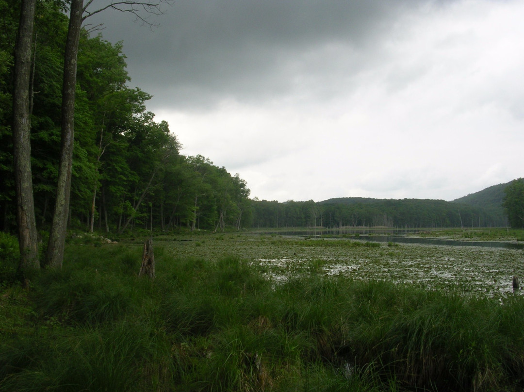 Ives Trail Greenway景点图片