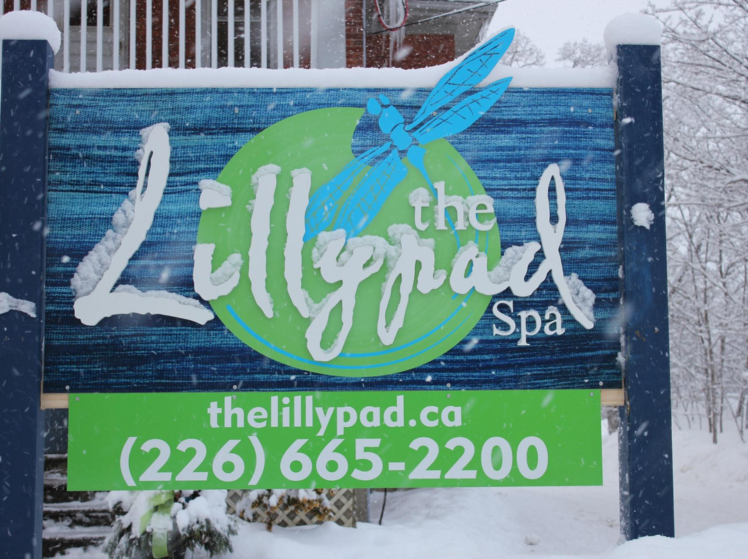 The Lilly Pad-蓝山必去景点