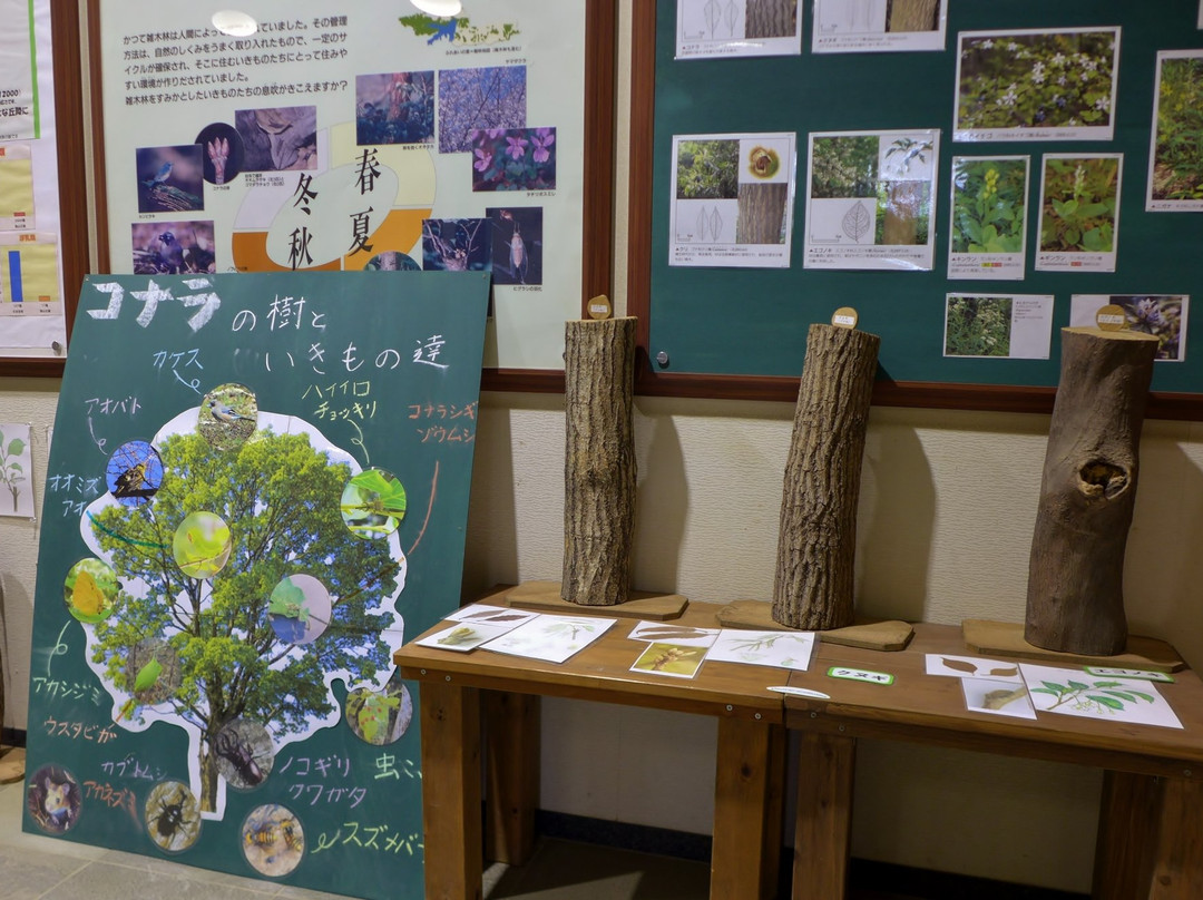 Sayama Hillside Ikimono Fureai no Sato Center