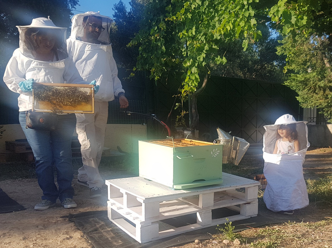 From A to Bee-Pallini必去景点