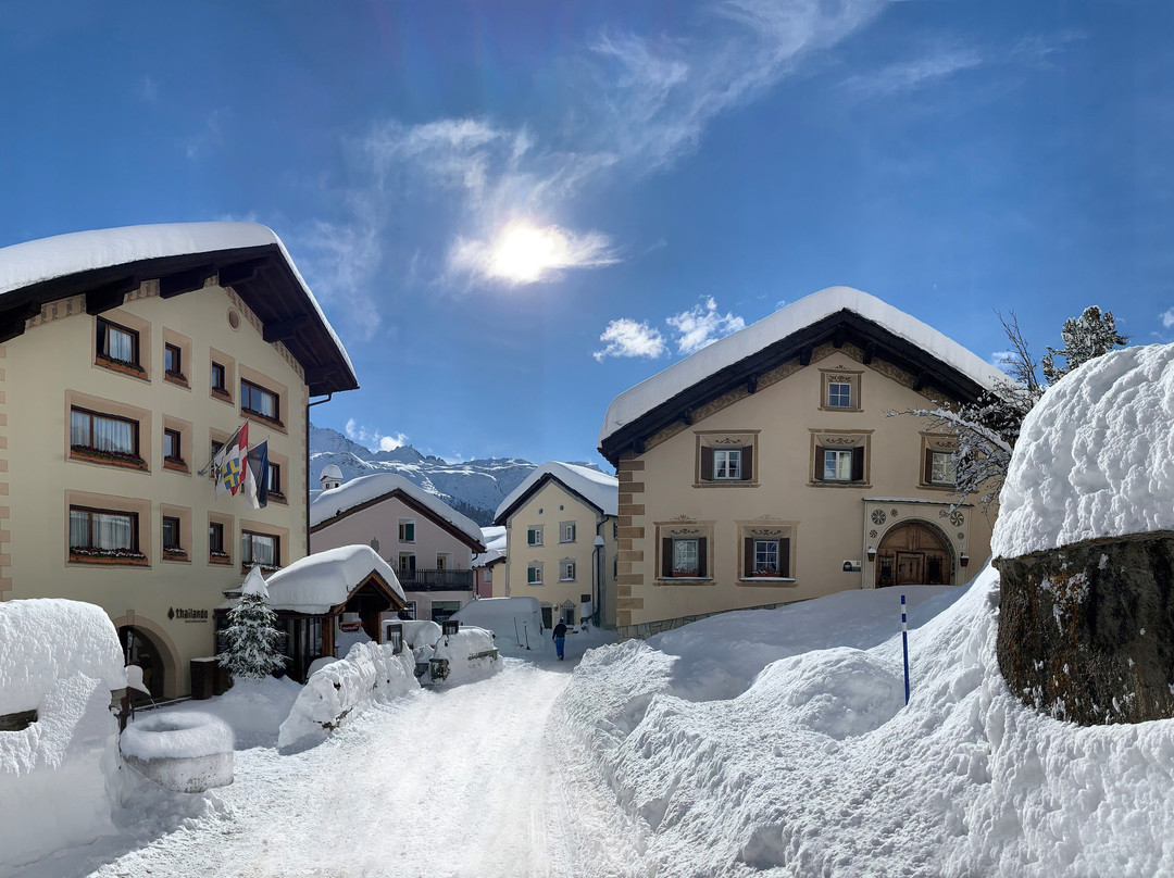 Albana Hotel & Suites Silvaplana Sa主图