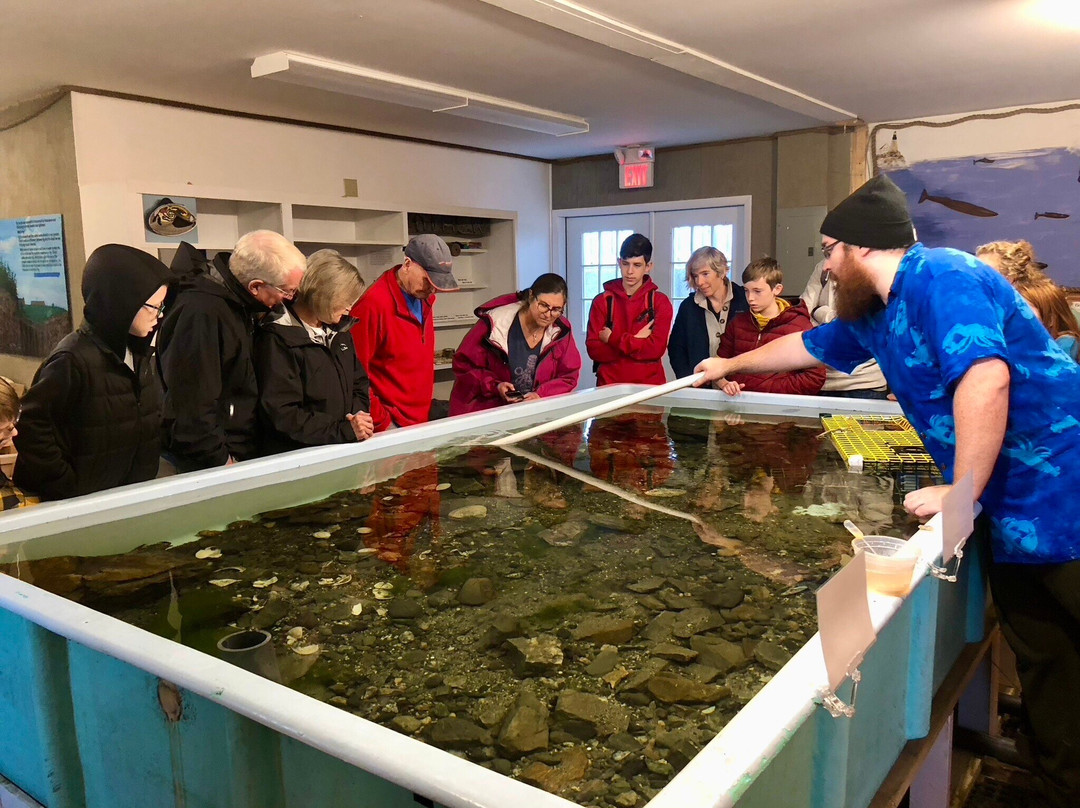 Oceanarium And Education Center景点图片