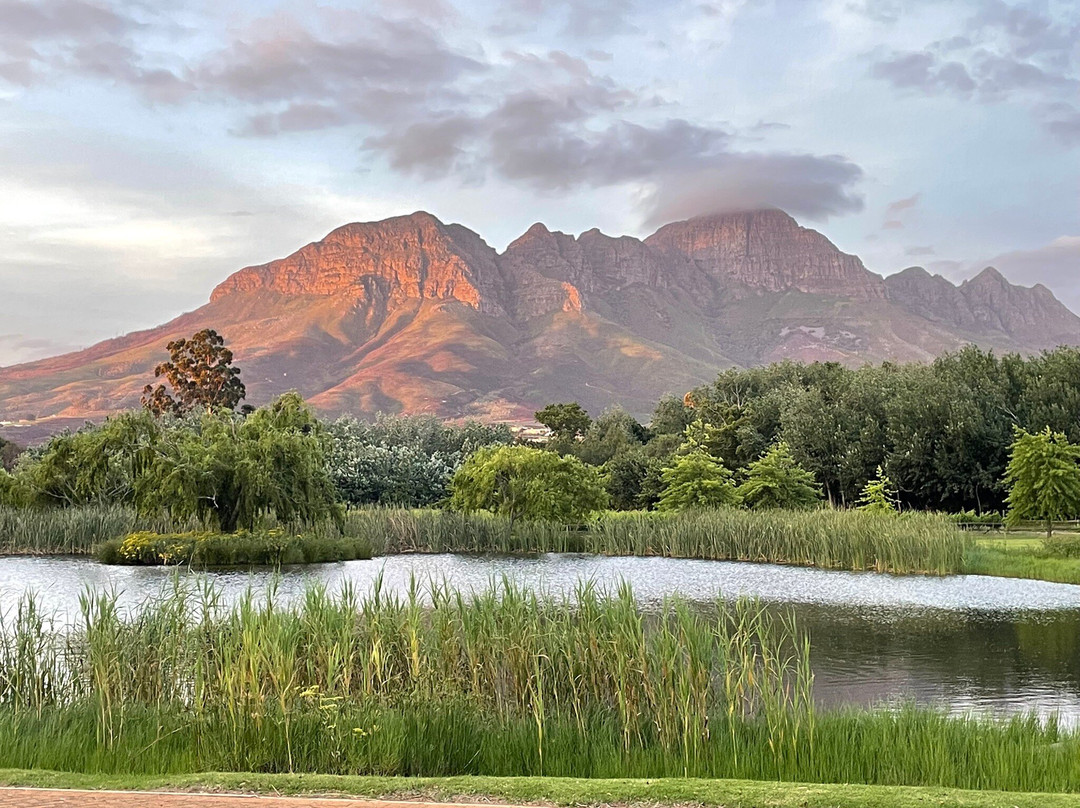 Botanicum At Morgenster