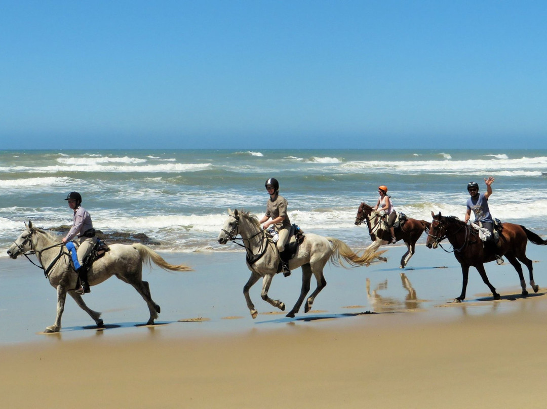 Wild Coast Horse Riding Adventures景点图片