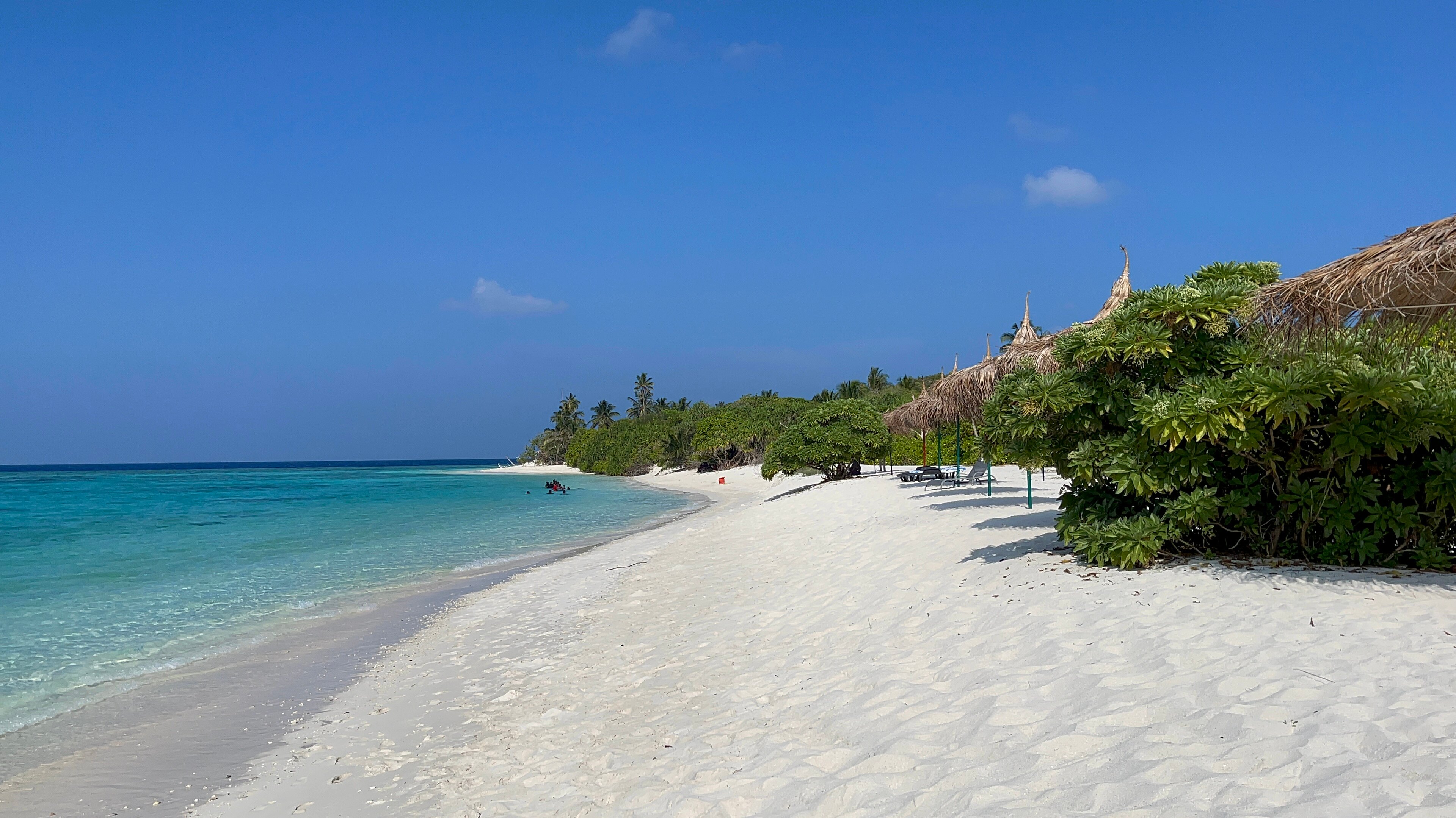 Escapism Maldives-泳池