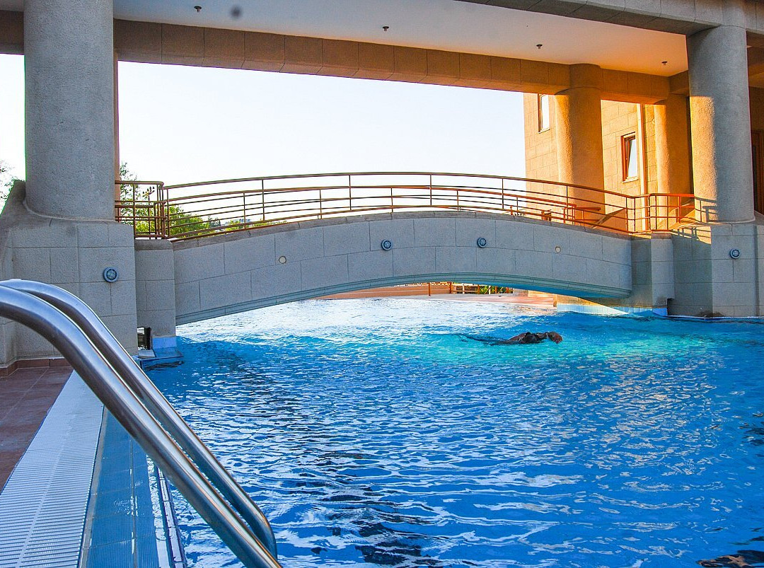 Ledras Beach Hotel主图