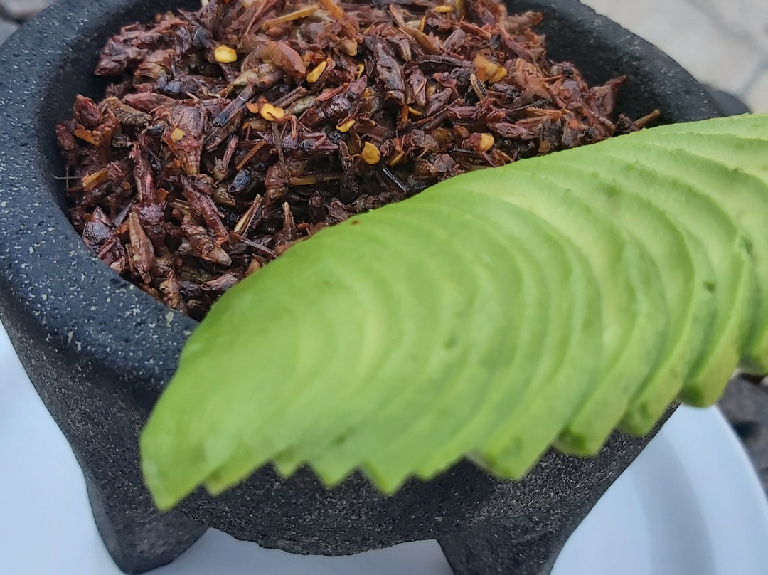 Palenque Mal De Amor-Tlacolula必去景点