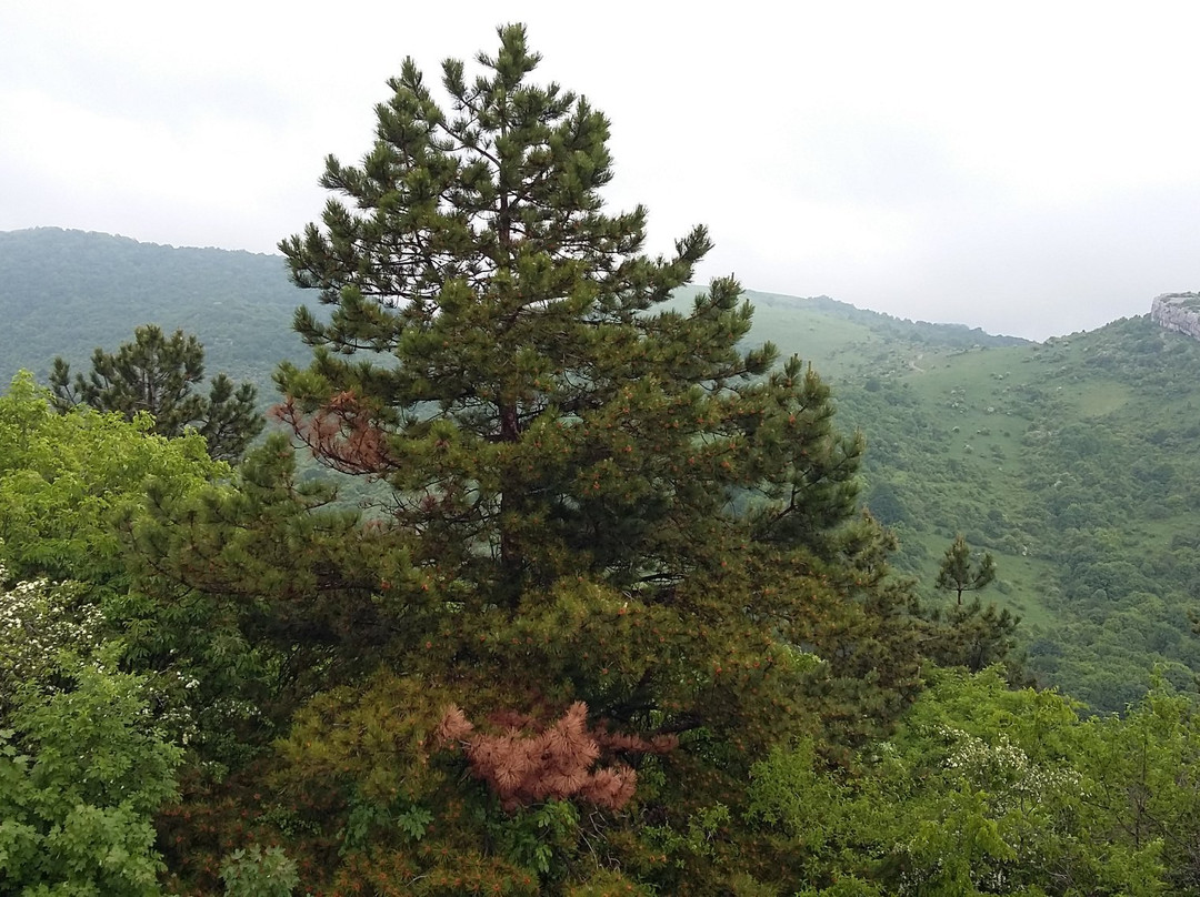 Okolchitsa Peak - National Park Of Hristo Botev