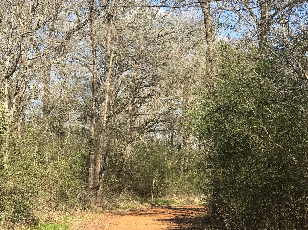 Lick Creek Trail-大学城必去景点