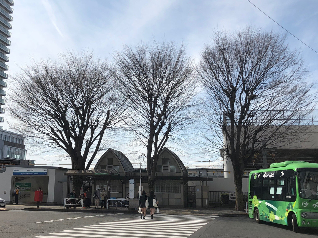 Ken Shimura Tree-东村山市必去景点