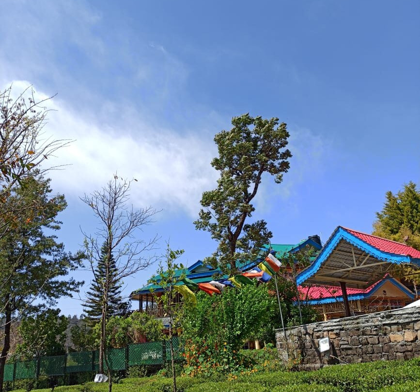 Royal Green Buds主图