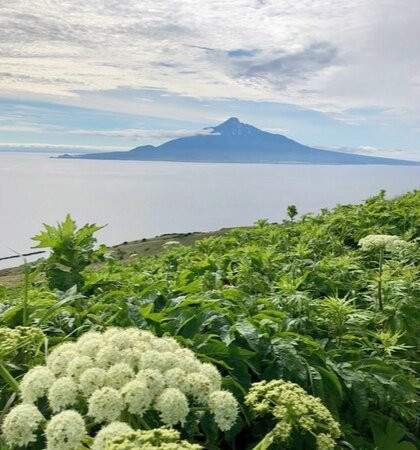 Rebun Island-Rebun-to必去景点