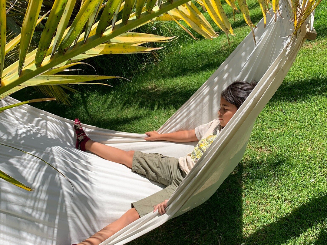 Hotel Boutique La Caballeriza主图