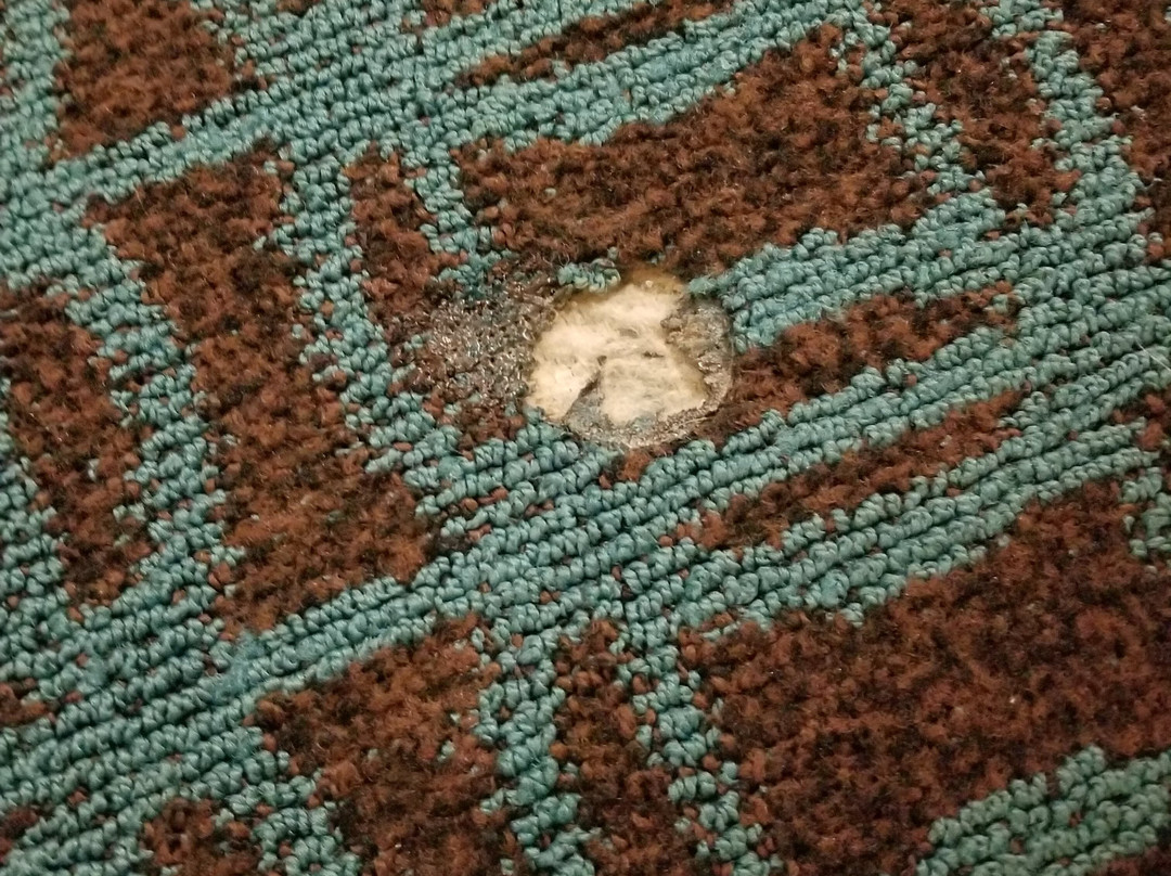 Fairfield by Marriott Inn & Suites Montgomery Airport South主图