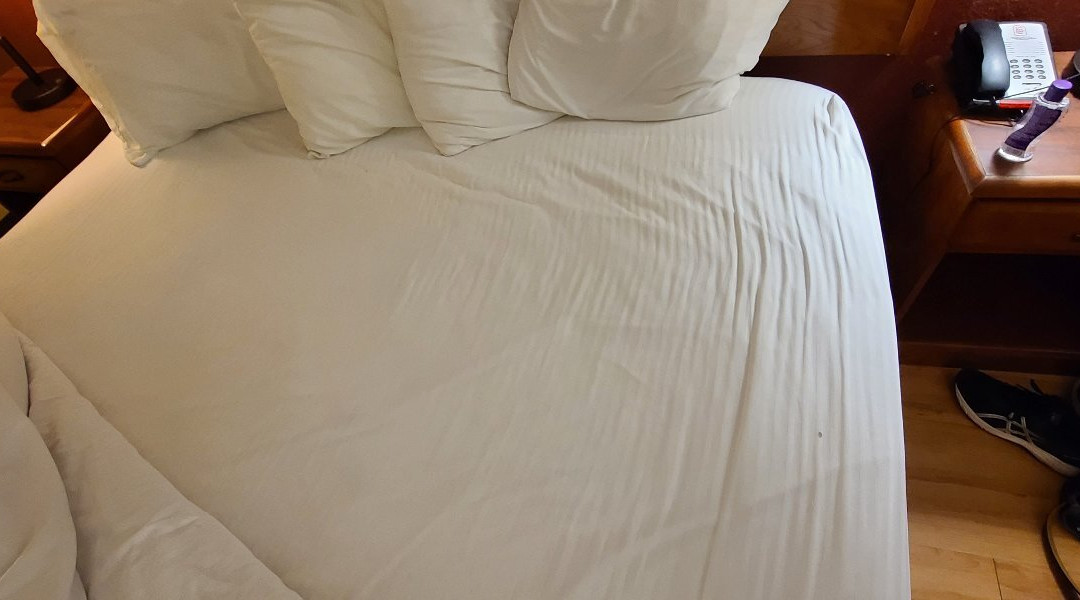 Red Roof Inn Conroe North - Willis主图