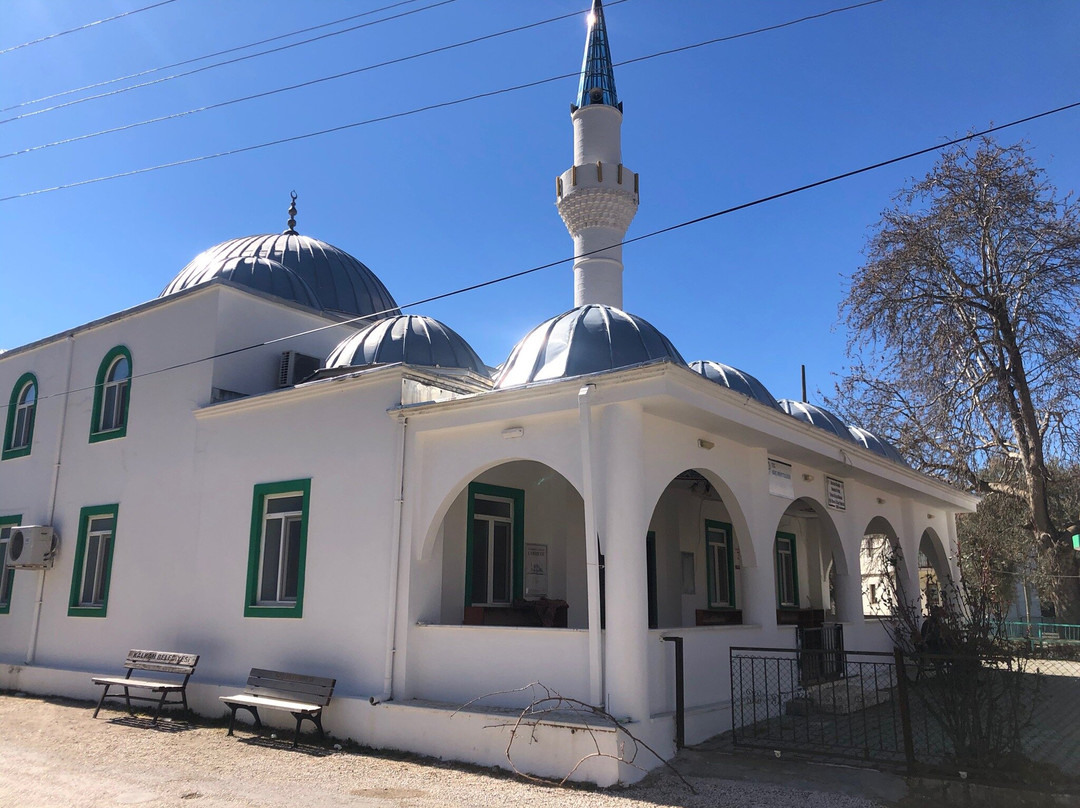 Bezirgan Village Mosque景点图片