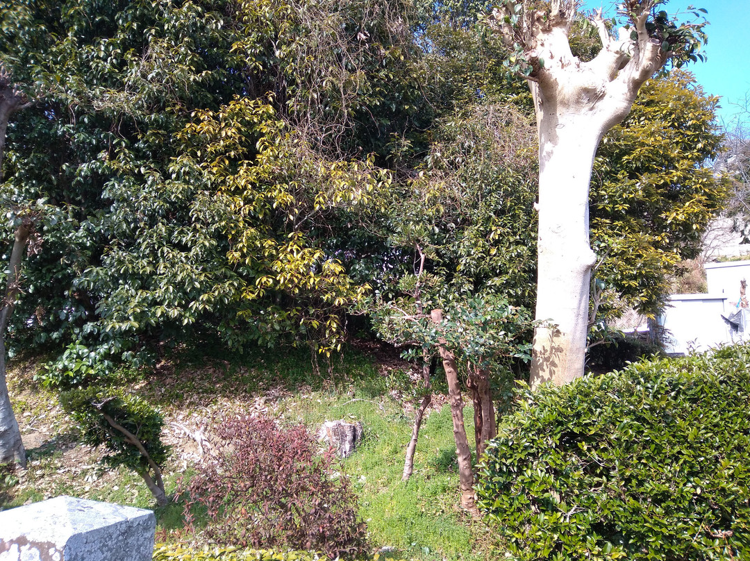 Kibinaishinno Tomb景点图片