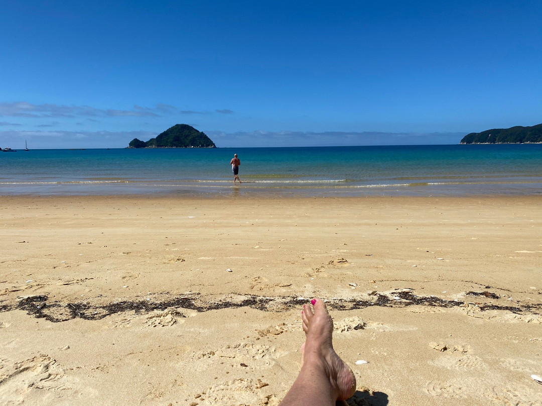 Abel Tasman Charters - Day Tours景点图片