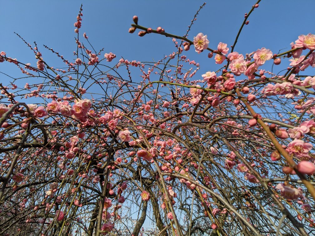 Izumi Recycle Environment Park-和泉市必去景点