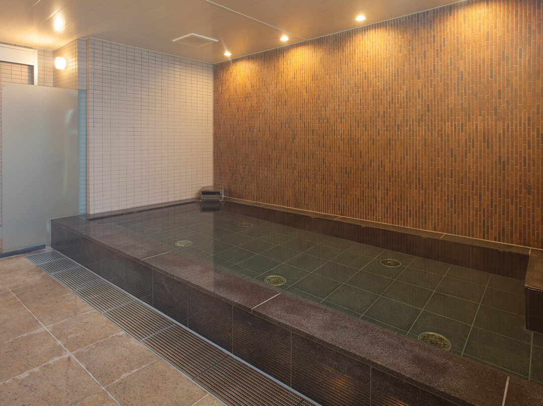 Hotel Aston Plaza Kansai Airport主图