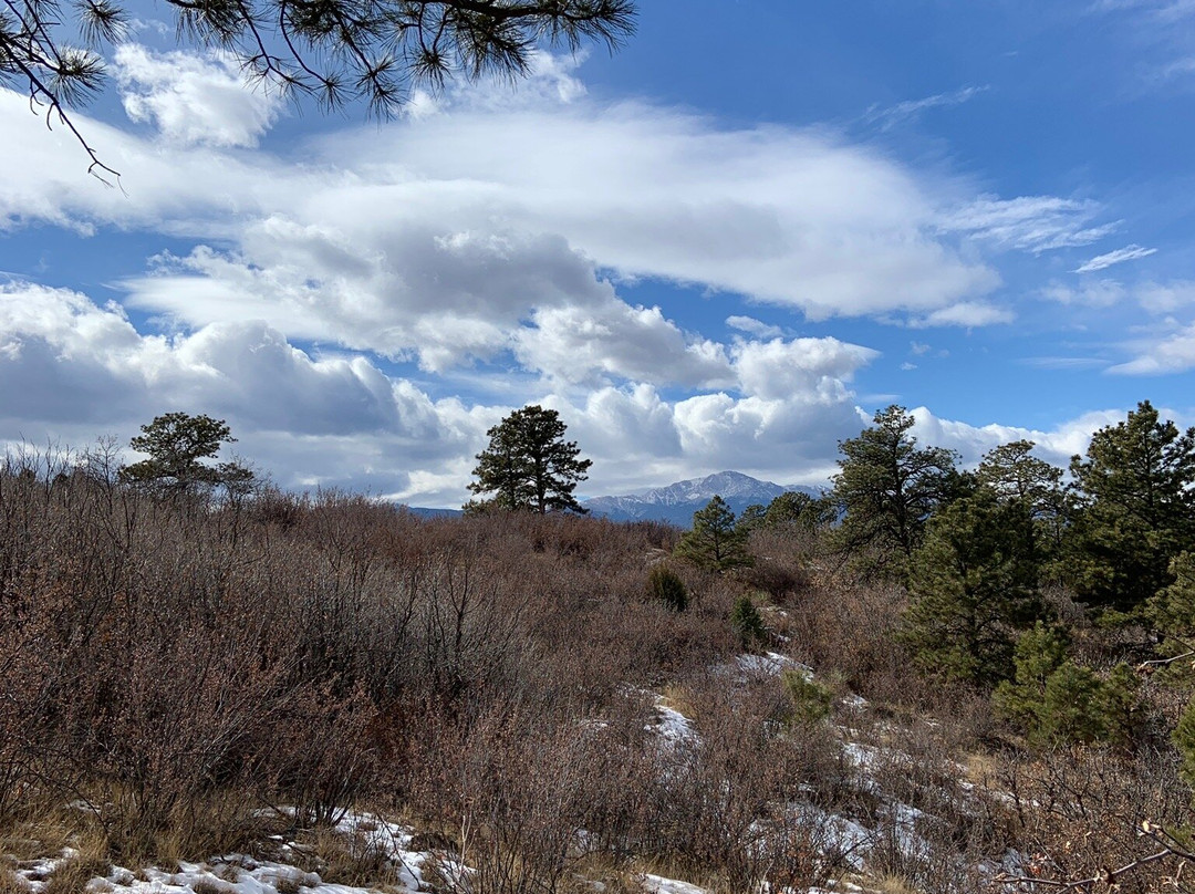 Palmer Park-科罗拉多斯普林斯必去景点