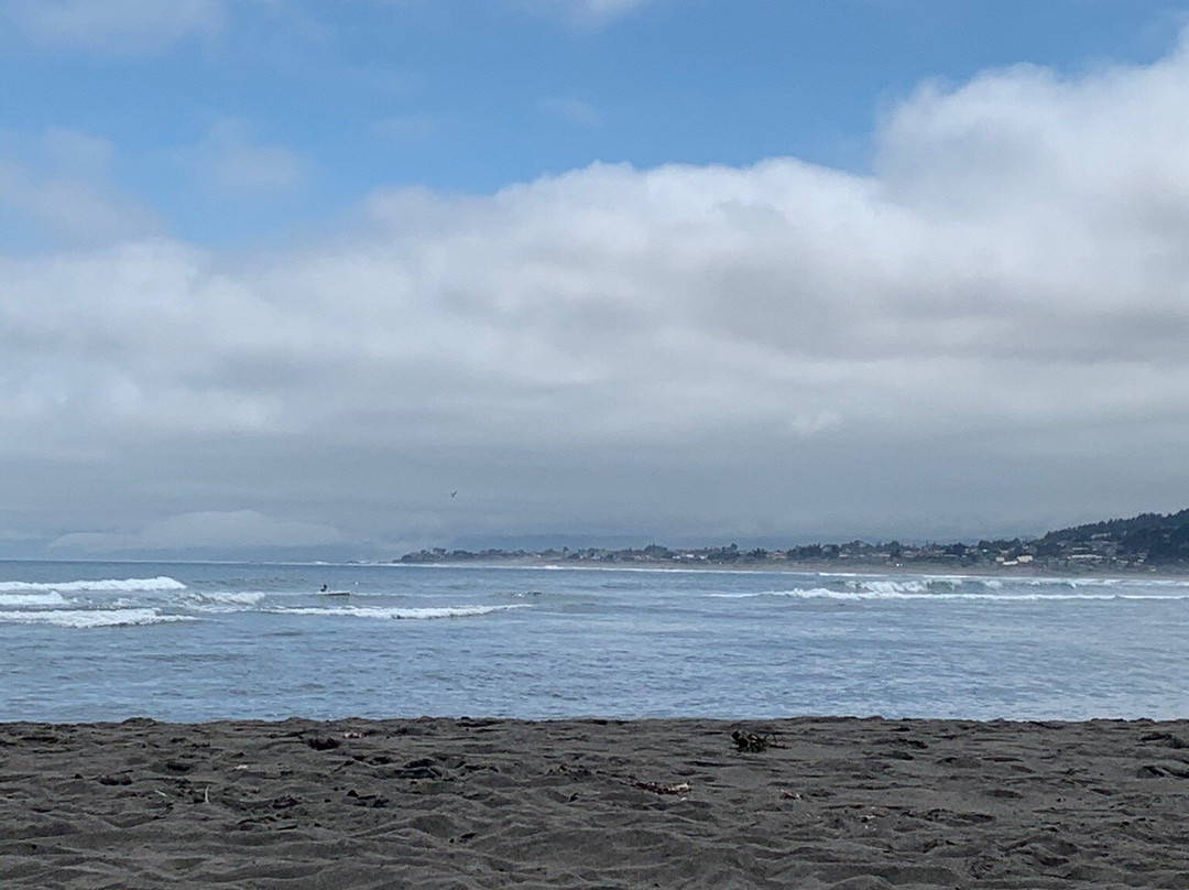 Playa Punta de Lobos-皮钦勒姆必去景点