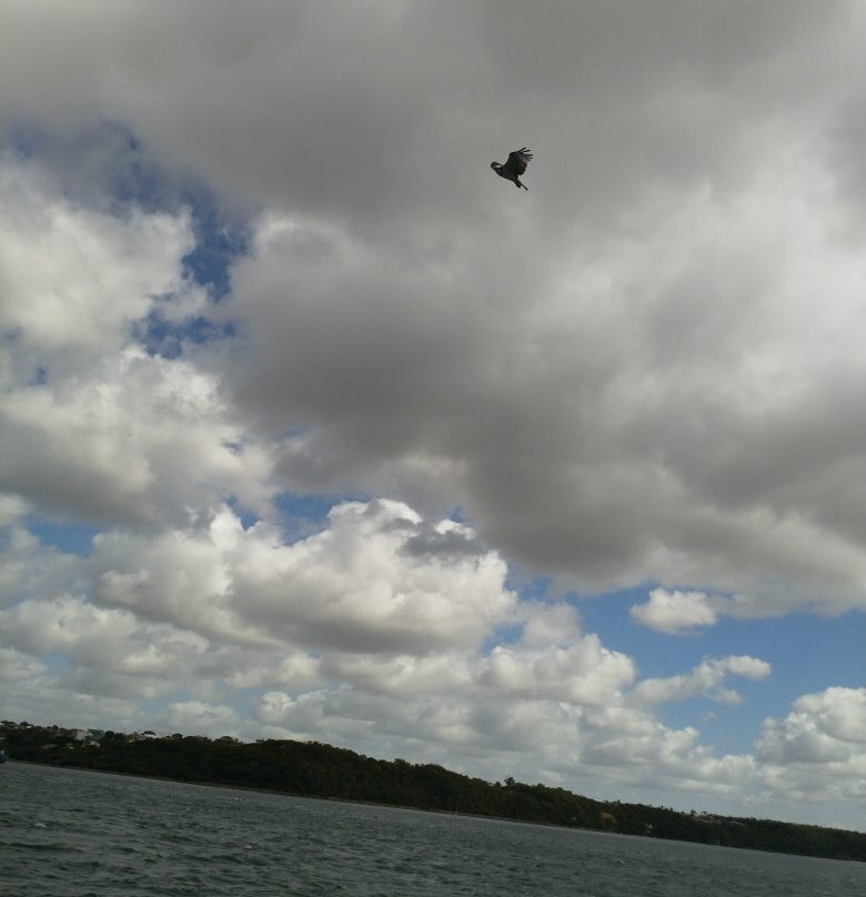 Kalgan Queen Scenic Cruises-奥尔巴尼必去景点