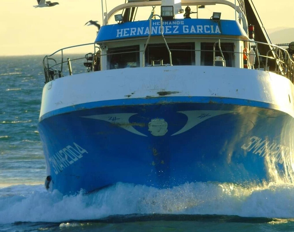 Puerto Deportivo de Estepona景点图片