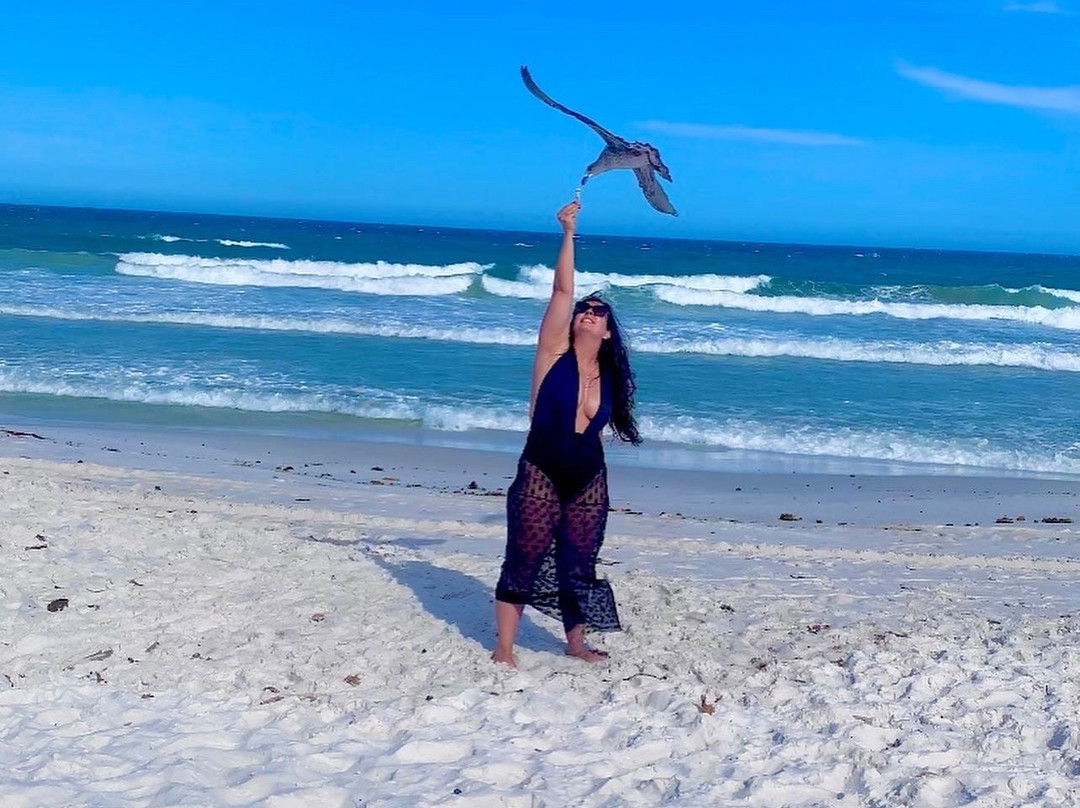 Praia do Foguete-卡布弗里乌必去景点