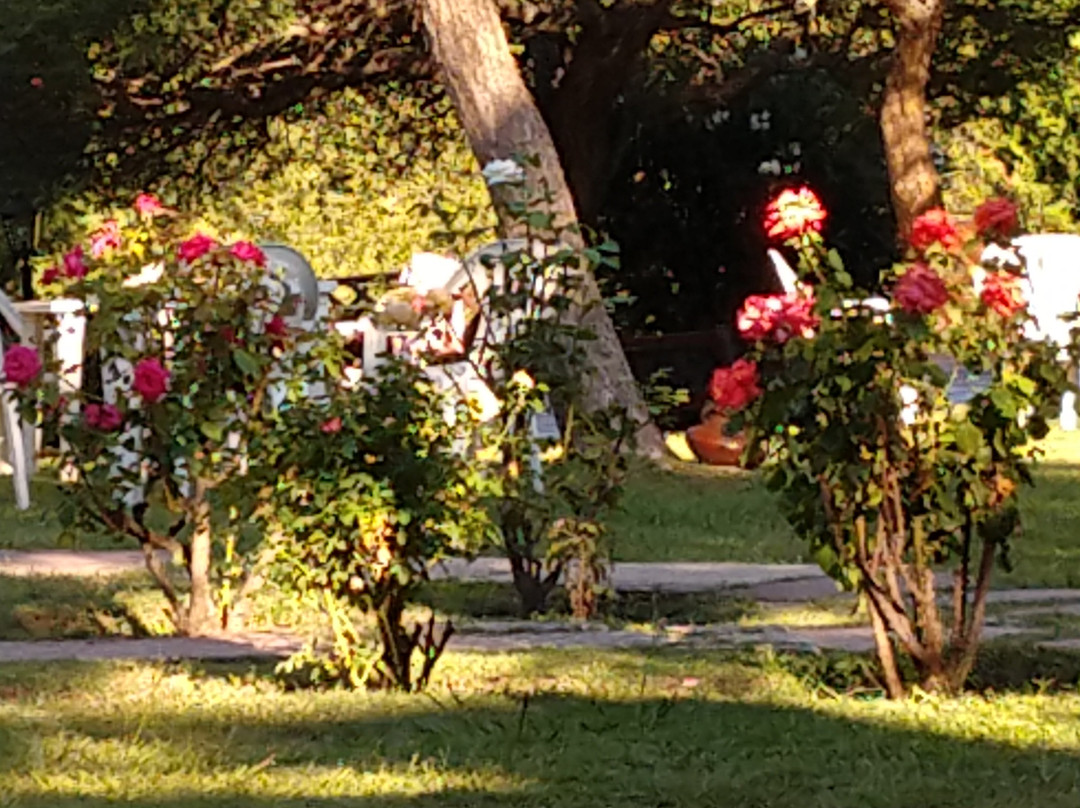 Agua que Brilla主图