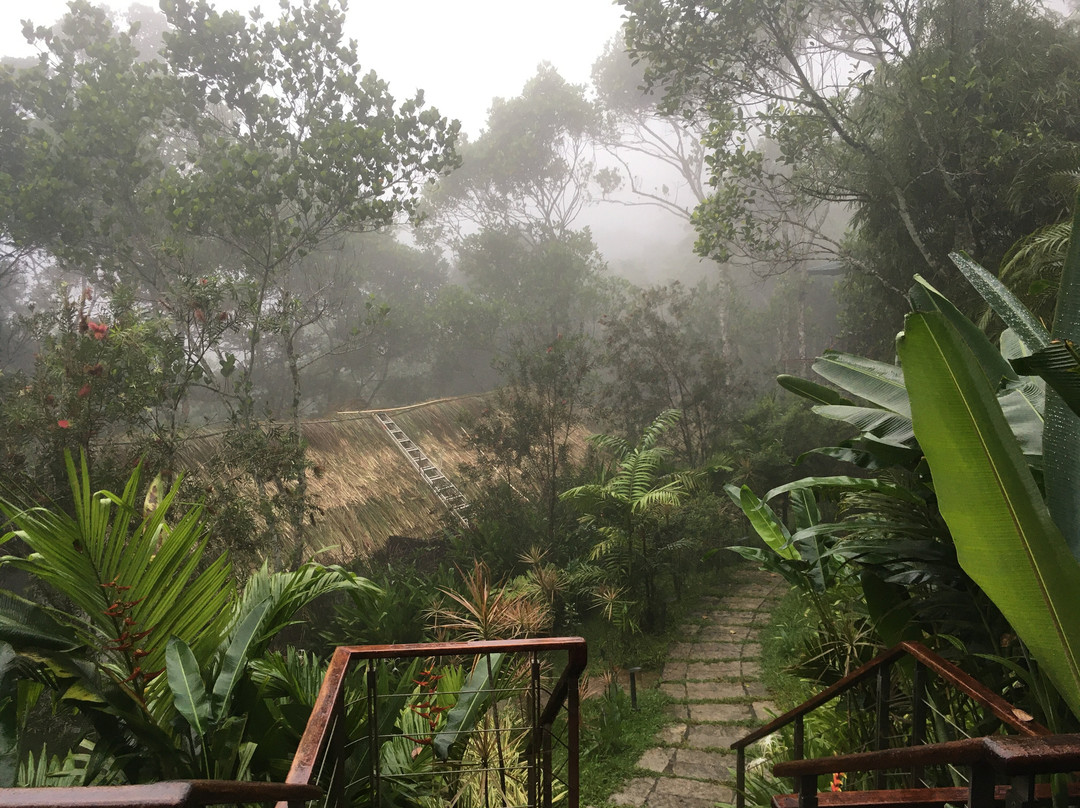Niraamaya Retreats Cardamom Club, Thekkady主图