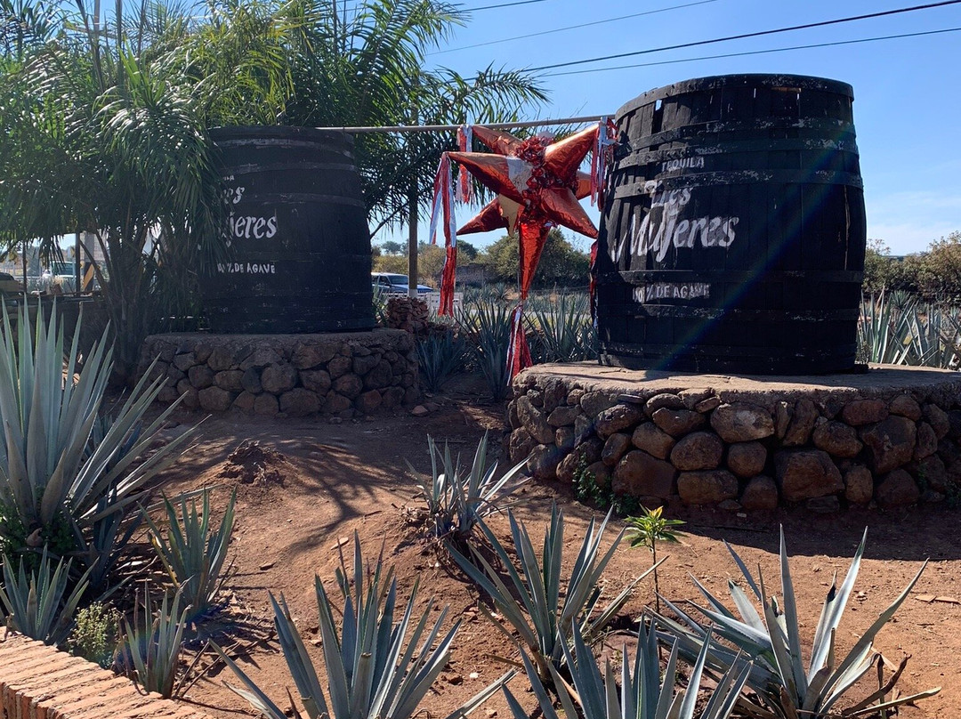 Tequila Tres Mujeres景点图片