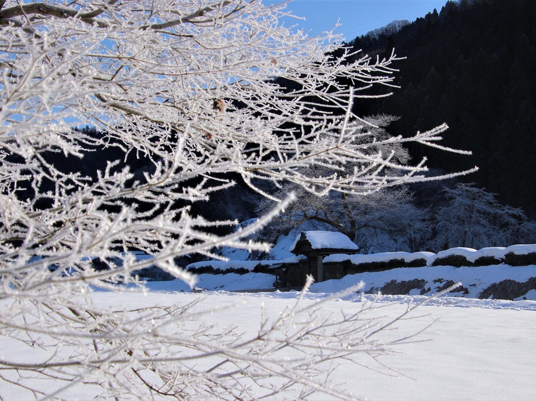 Ichijodani Asakurashi Ruin景点图片