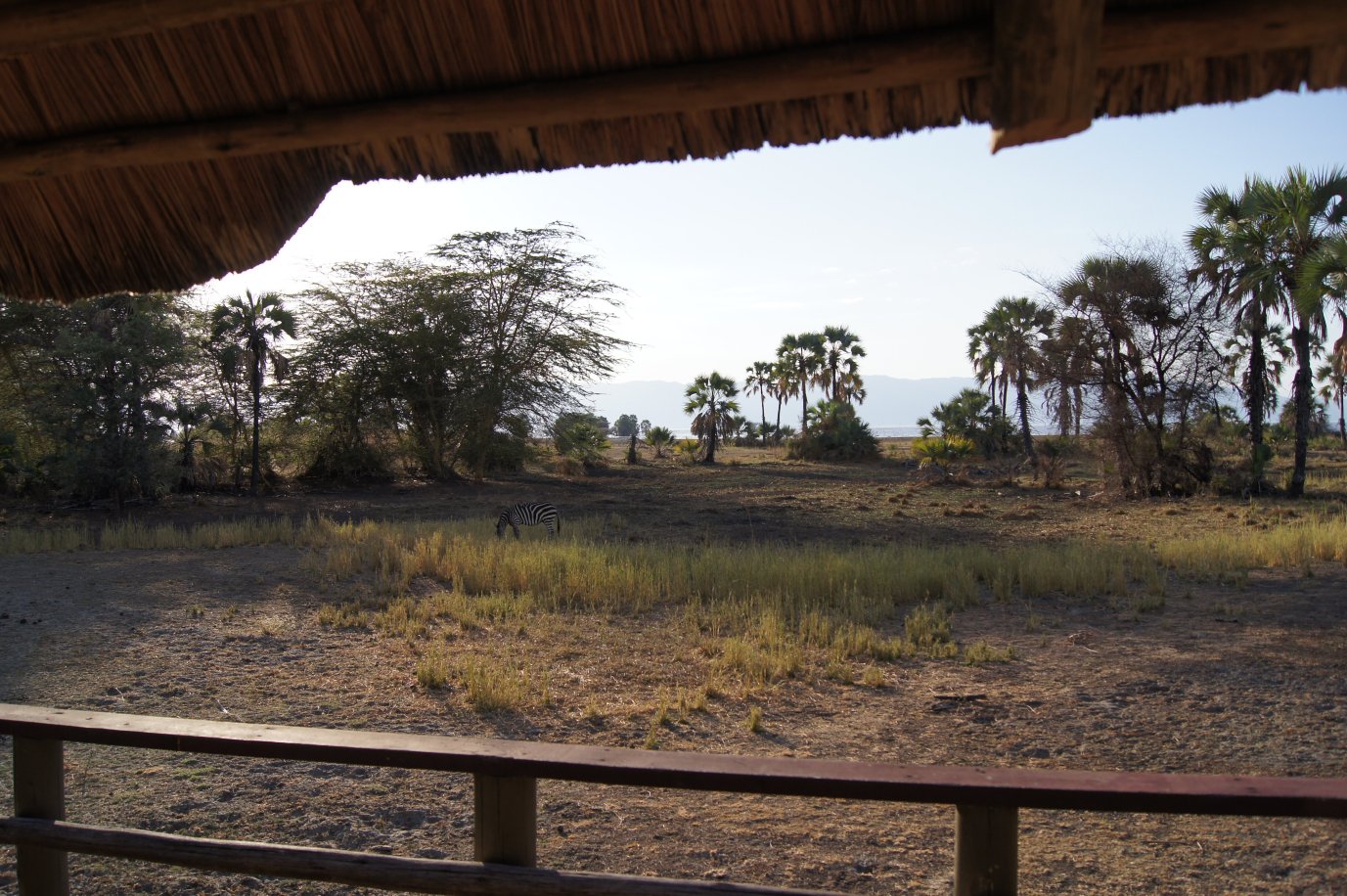 Maramboi Tented Lodge-酒店景观
