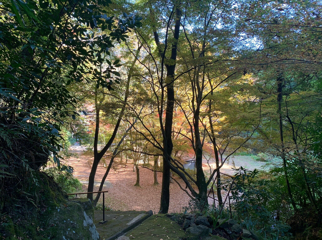 Otome Mountain Path Maria Cathedral-津和野町必去景点