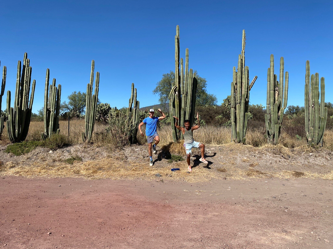 Explore With a Local-墨西哥城必去景点