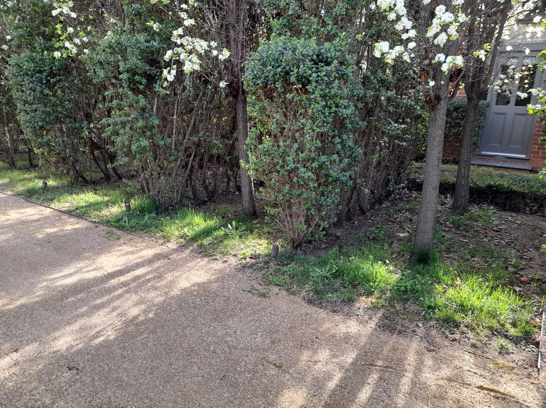 The Houston Wagga主图